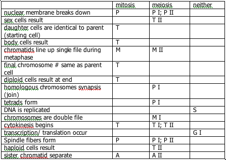 Comparing Mitosis And Meiosis Worksheets Answer Key