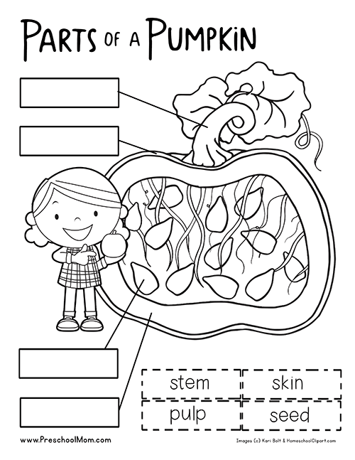 pumpkin-preschool-printables-free-worksheets-samples