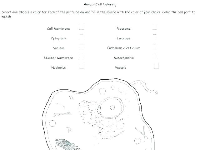 Cell Membrane Coloring Worksheets Biology Junction Answers Cell Membrane Coloring Worksheets Biology Junction Answers