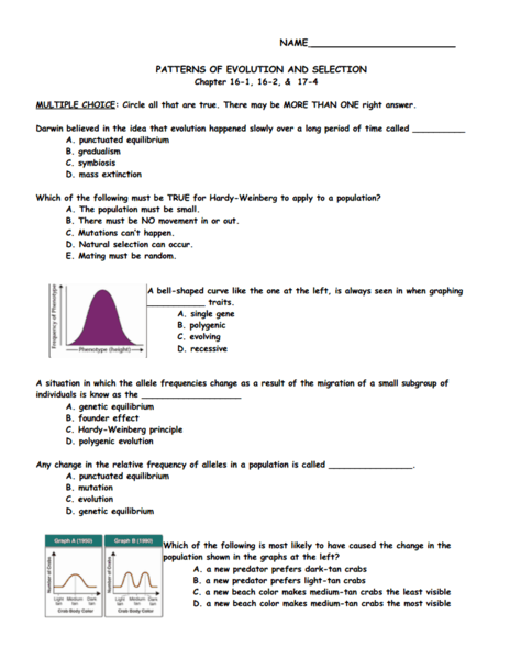 natural selection and evidence of evolution worksheets answer key - Evidence Of Evolution Worksheet Answers natural selection and evidence of evolution worksheets answer key - Evidence Of Evolution Worksheet Answers