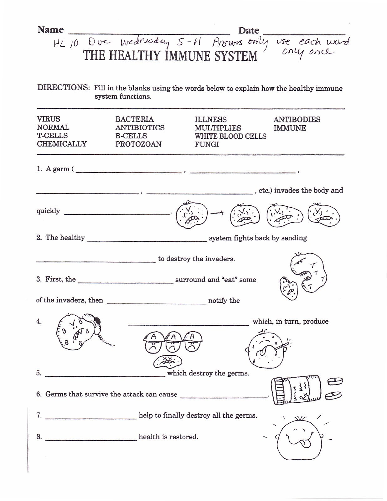the-healthy-immune-system-worksheets-answers