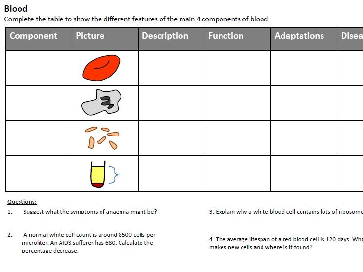 components-of-blood-worksheets