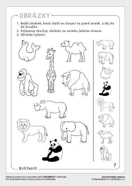 204 Best Animales Salvajes Images On Free Worksheets Samples