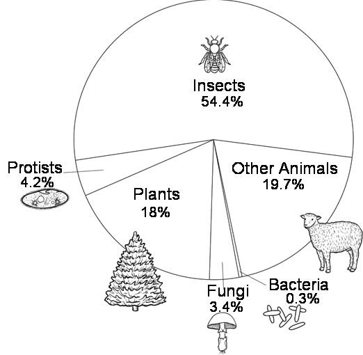 27 Best H Science Taxonomy Images On Free Worksheets Samples