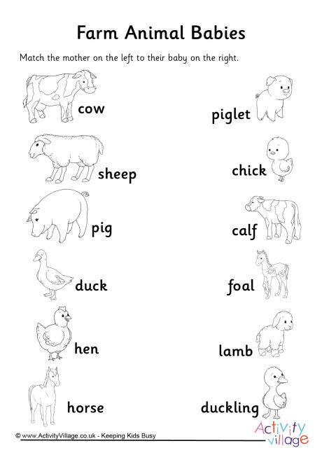 Animal Babies Matchup Worksheet