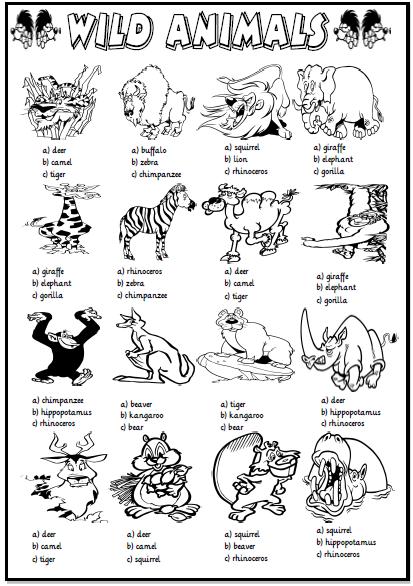 Animals  Multiple Choice Activity