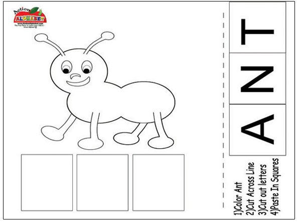 Ant Worksheet