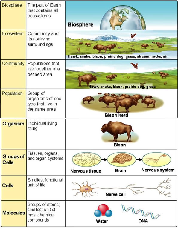 Biology