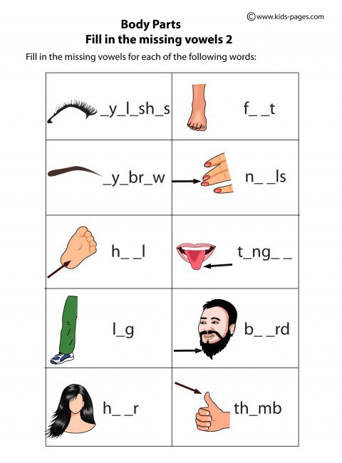 Body Parts