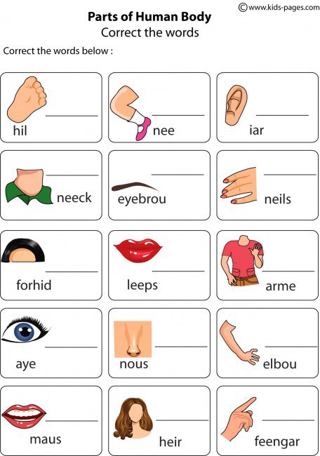 Body Parts Word Correction Worksheet