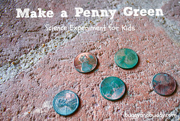 Chemical Reactions  Make A Penny Turn Green (with Free Printable