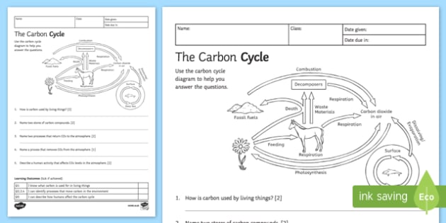 Cycle Worksheet