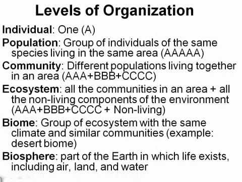 Ecology Levels Of Organization Worksheet Free Worksheets Library