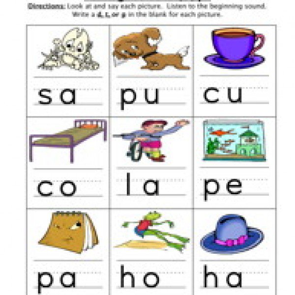 Ending Sound D T P Worksheet