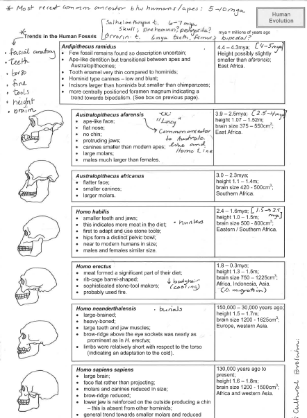 Evolution Worksheets Free Worksheets Library