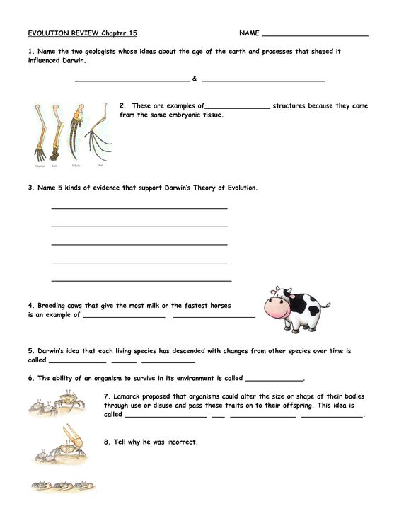 Evolution Worksheets High School Free Worksheets Library