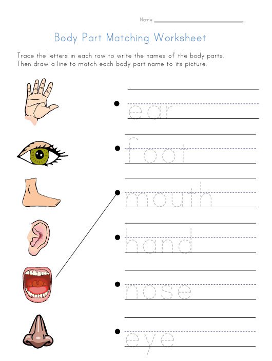 Family Members Worksheet