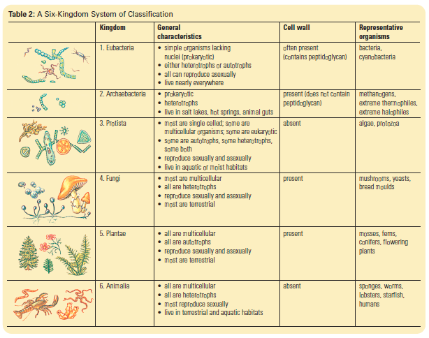 Kingdom Classification Worksheet Free Worksheets Library