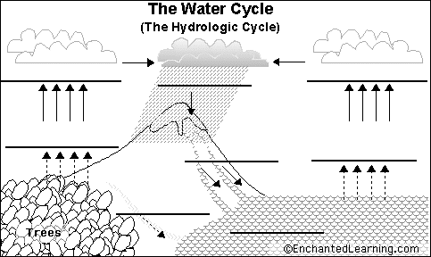 Label Water Cycle Printout