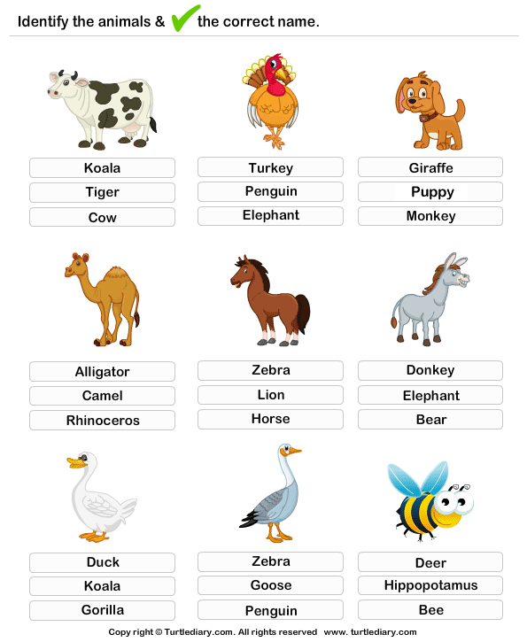 Learning Farm Animals Worksheet