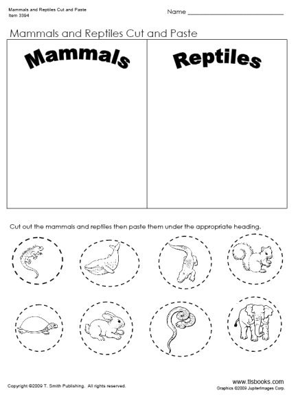 Mammals And Reptiles Cut And Paste Worksheet