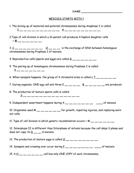 Meiosis Vocabulary Worksheet Free Worksheets Library