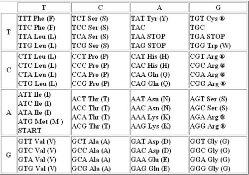 Modifications Of Activities For Different Grade Levels