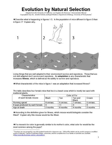 Natural Selection Worksheets Free Worksheets Library