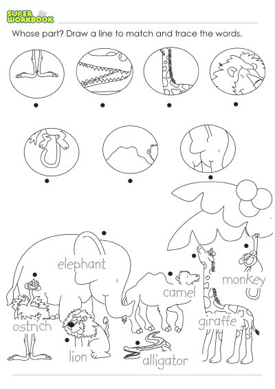 New 752 Kindergarten Zoo Worksheets