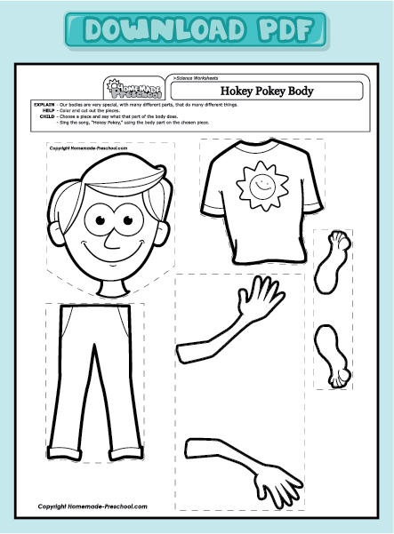 Parts Of The Body Worksheet Clipart (22+)