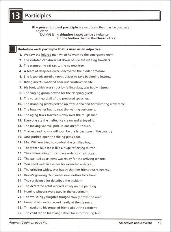 Pronouns, Adjectives, Adverbs, And Paragraphs (015054) Details