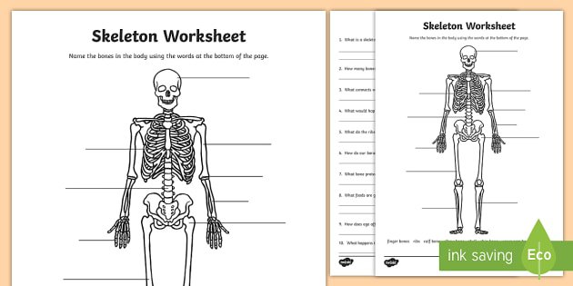 Skeleton Worksheet