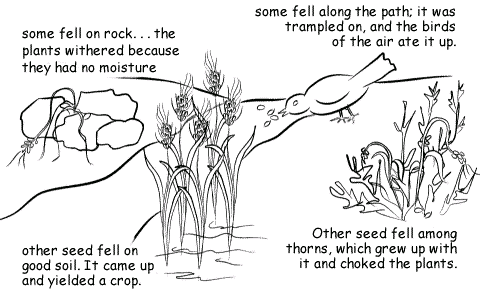 Sowing Seeds