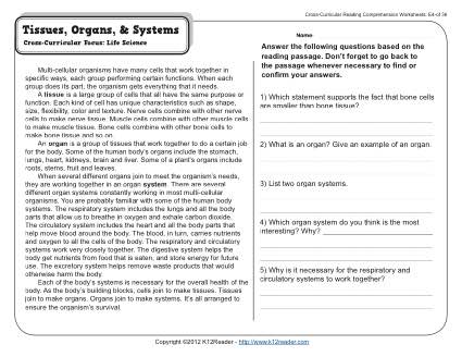 Tissues, Organs And Systems