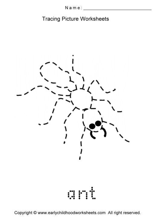 Tracing Ant Picture
