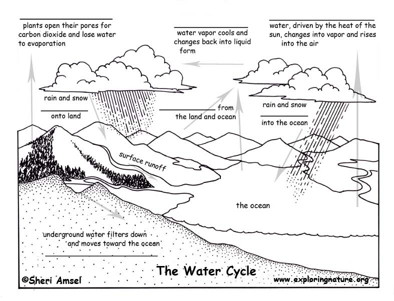 Water Cycle