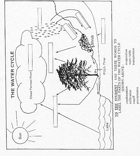 Water Cycle Worksheet