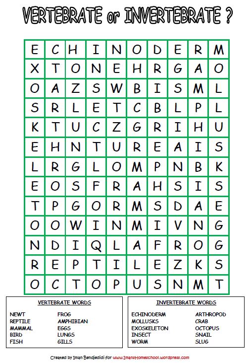 Animal Classification Activity Worksheets