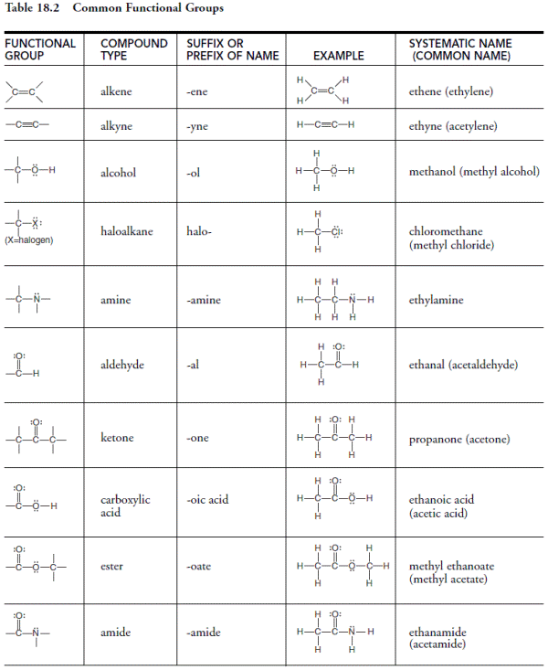 Biological Molecules Worksheet Free Worksheets Library Free