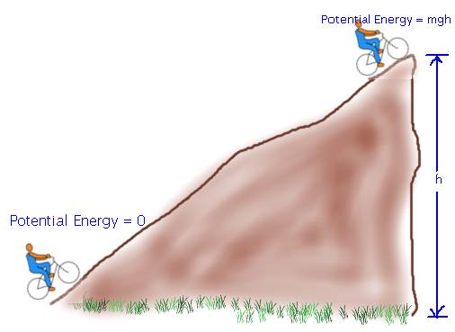 Cbse Papers, Questions, Answers, Mcq   Cbse Class 9