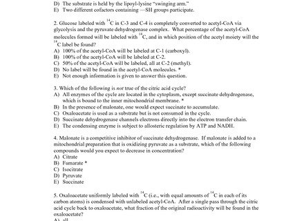 Cell Cycle Labeling Worksheet Answer Key ...