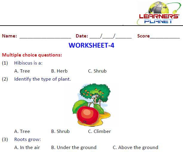 Grade – Free Worksheets Samples