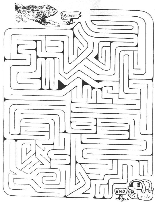 Groundhog  Middle School