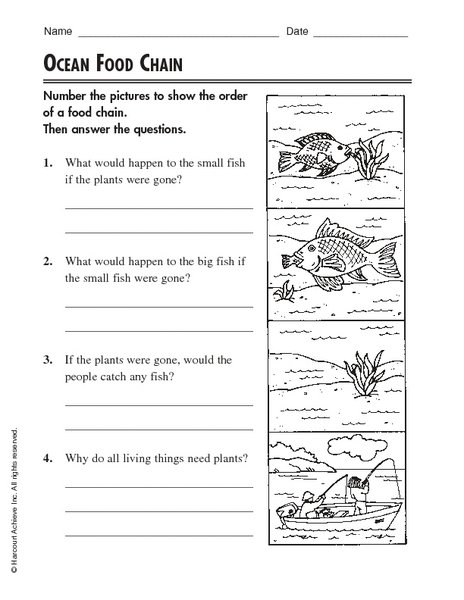 Ocean Food Chain Worksheet Free Worksheets Library