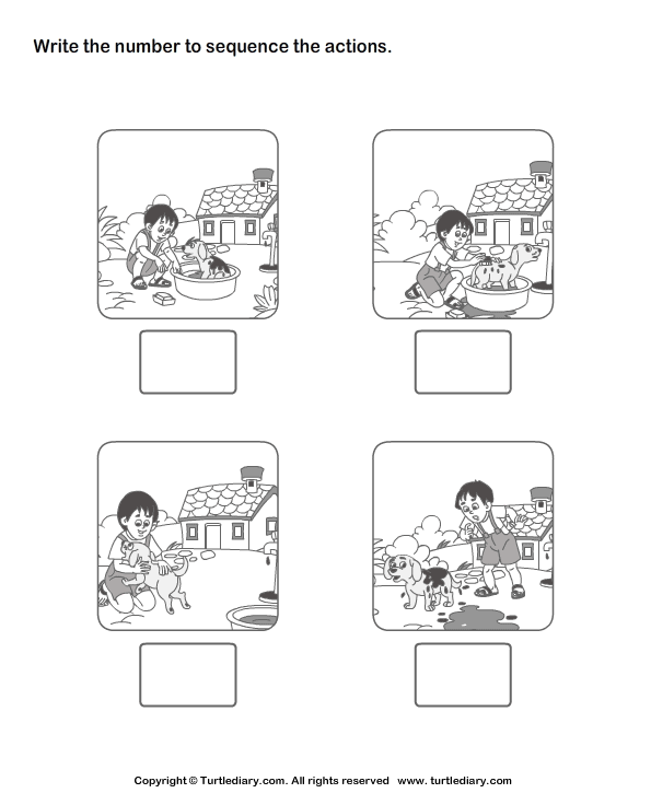Picture Sequencing Boy Washing His Pet Worksheet