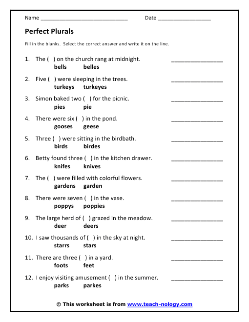 Regular And Irregular Plural Nouns Worksheet Free Worksheets
