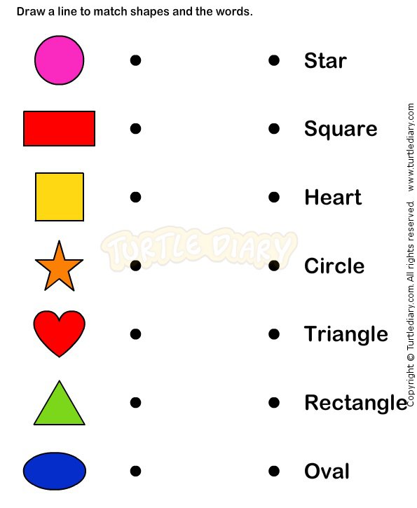 Shape  B Worksheets  B