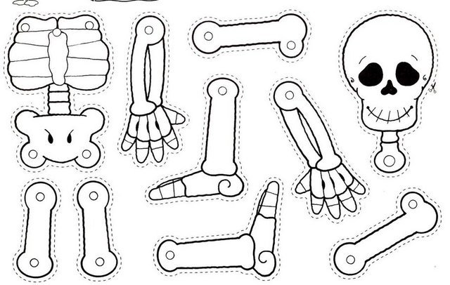 Skeleton Worksheets Kindergarten  Skeleton  Best Free Printable