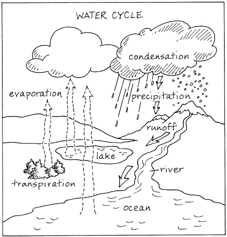 The Hydrologic Cycle