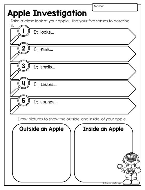 Unit For Kindergarten And First Grade